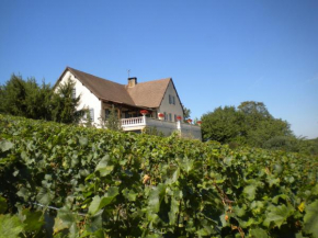 Le Mont Laurent